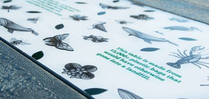 plastic_bags_divider