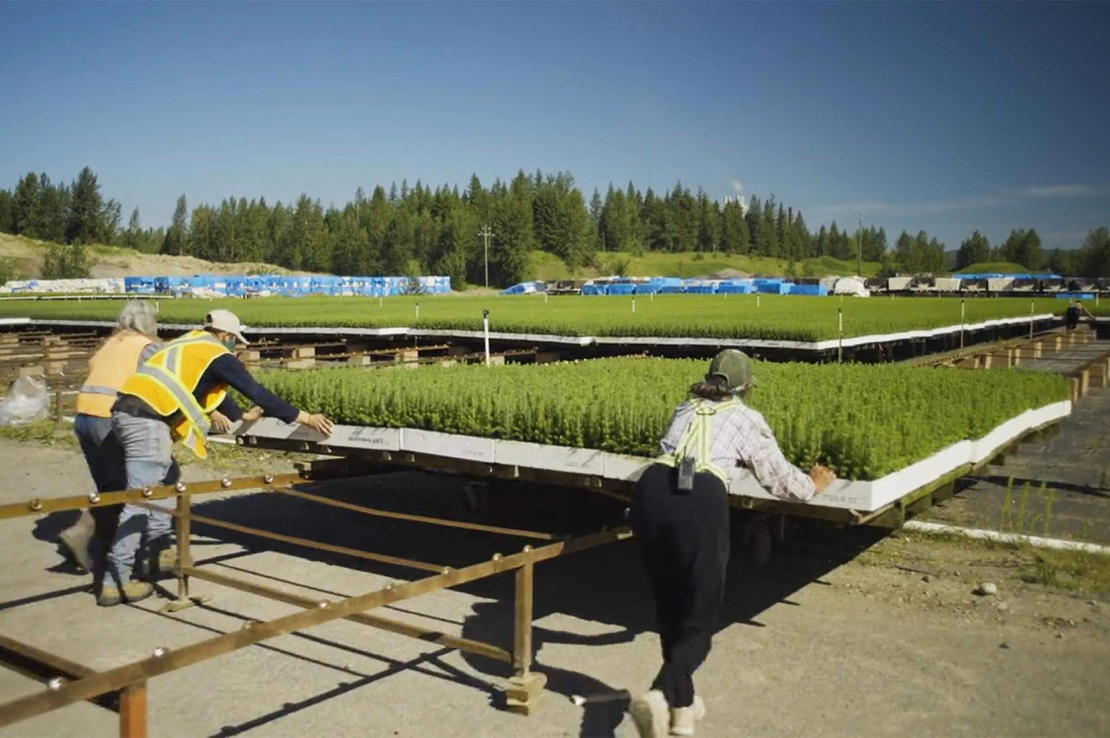 Climate Action in our Communities