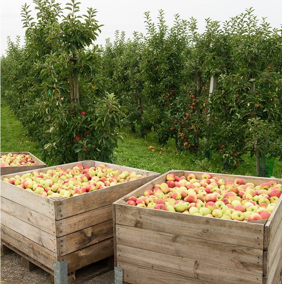 Strategic partnerships